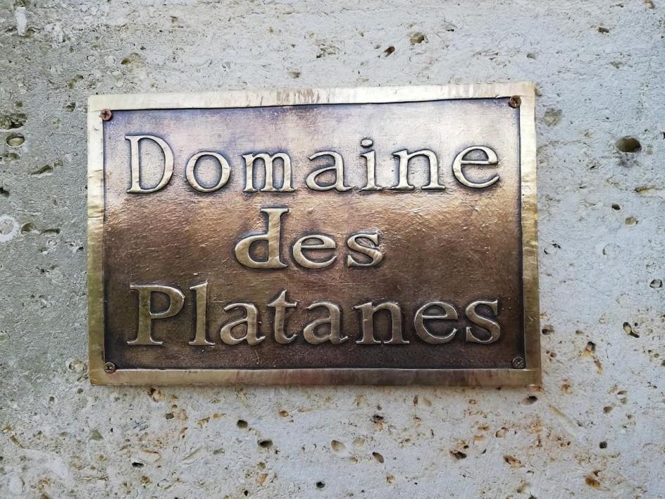 Bed and Breakfast Le Domaine Des Platanes Bourg-Charente Экстерьер фото