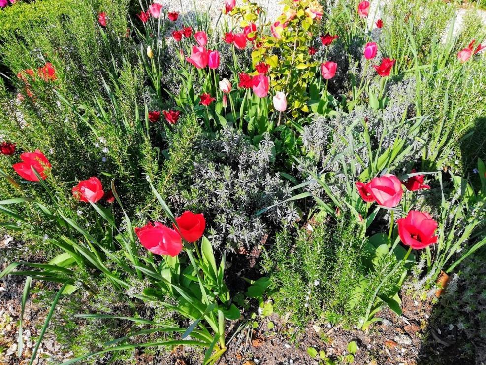 Bed and Breakfast Le Domaine Des Platanes Bourg-Charente Экстерьер фото