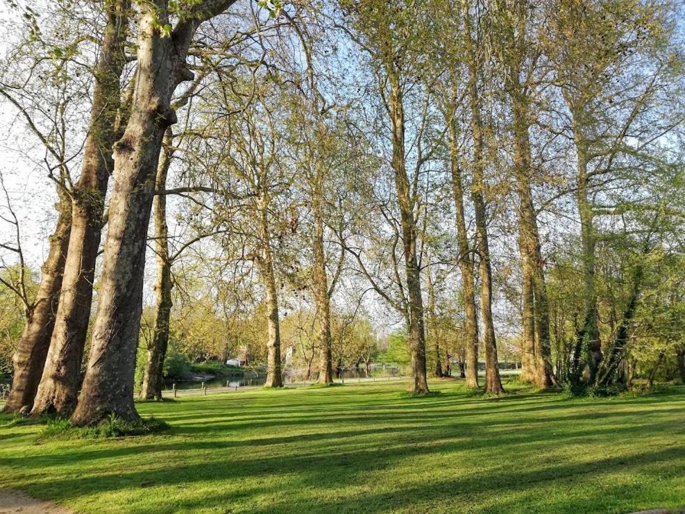 Bed and Breakfast Le Domaine Des Platanes Bourg-Charente Экстерьер фото