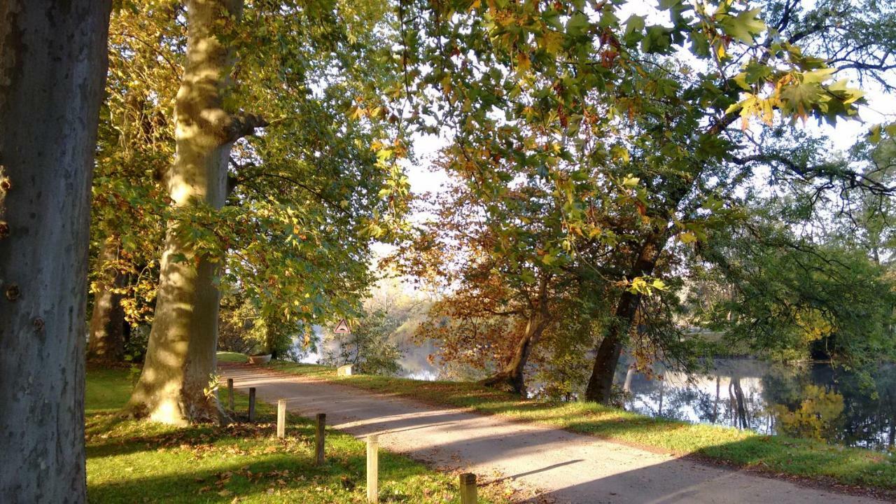 Bed and Breakfast Le Domaine Des Platanes Bourg-Charente Экстерьер фото