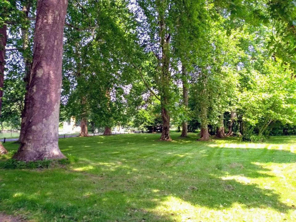 Bed and Breakfast Le Domaine Des Platanes Bourg-Charente Экстерьер фото